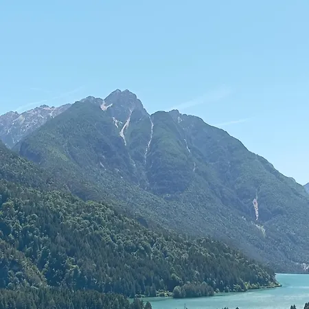 Panoramica *